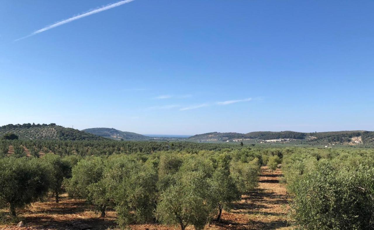 Borgo Rosoli Vieste Exteriör bild
