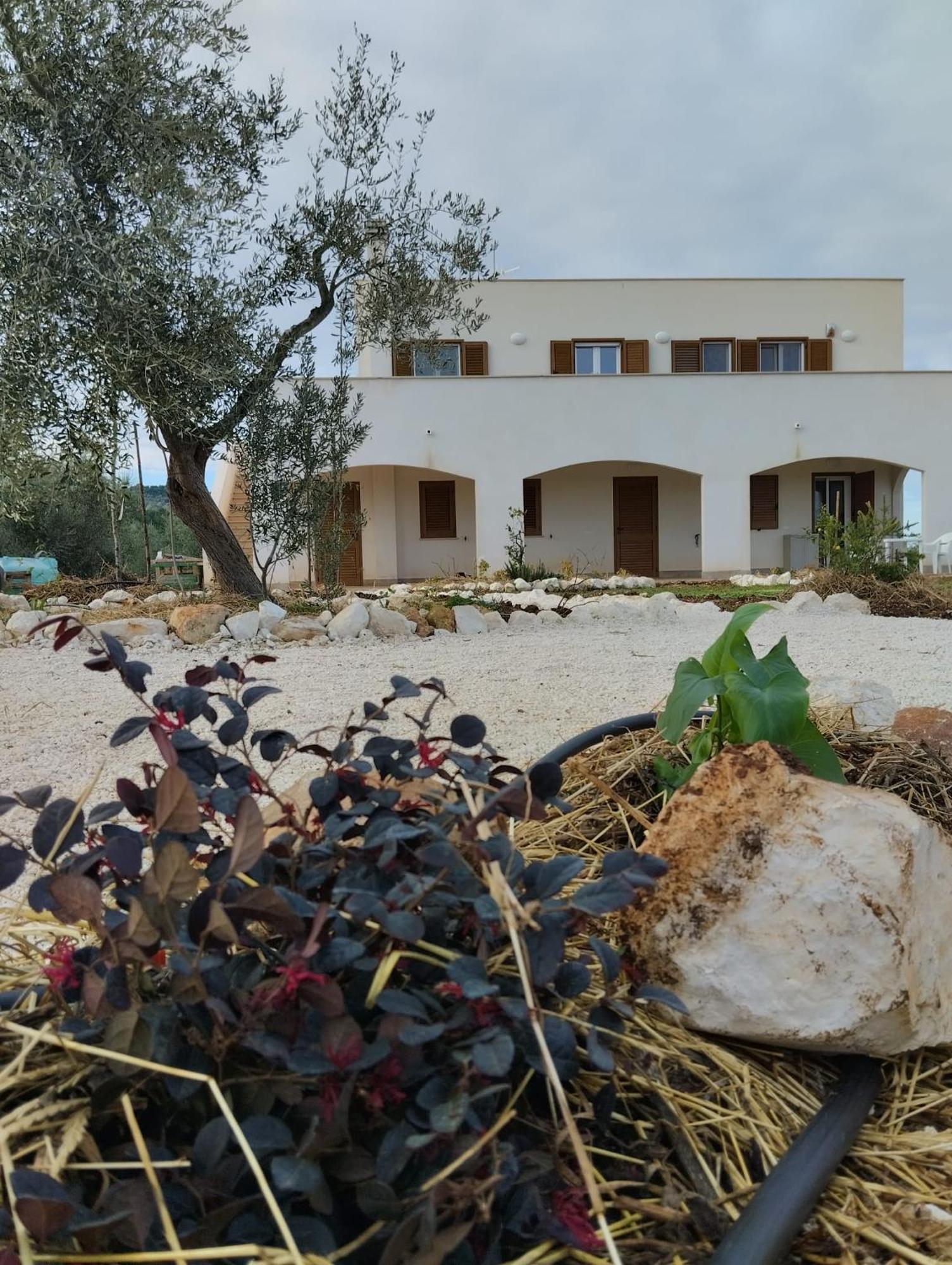 Borgo Rosoli Vieste Exteriör bild